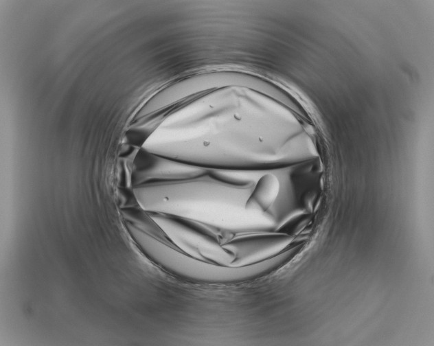 X0000113000809200909241300