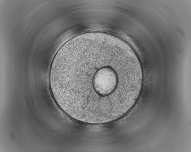 X0000113000810200909241300