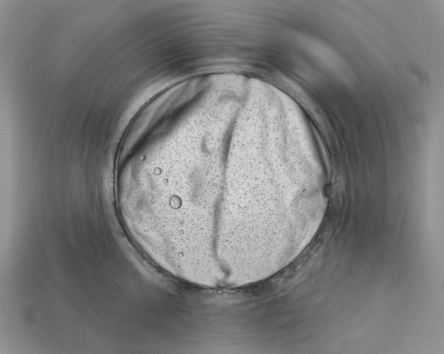 X0000113000811200909241300