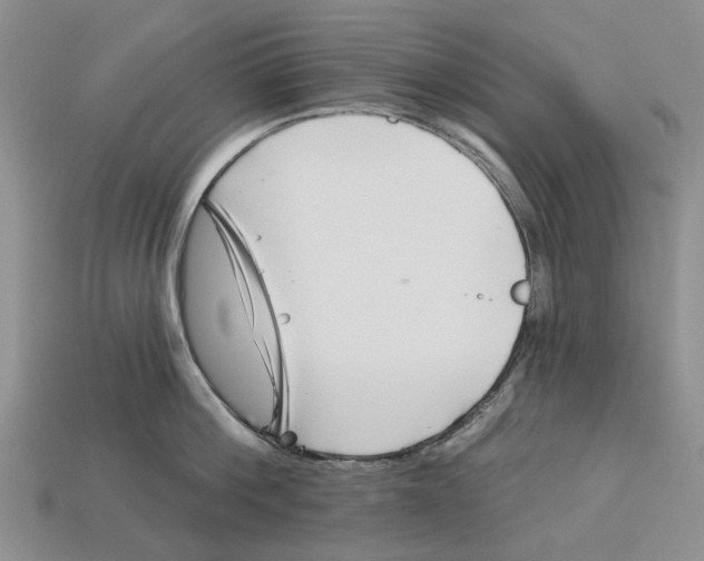 X0000113000812200909241300