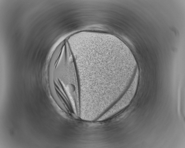 X0000113000816200909241300