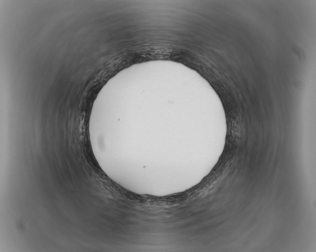 X0000113000818200909241259