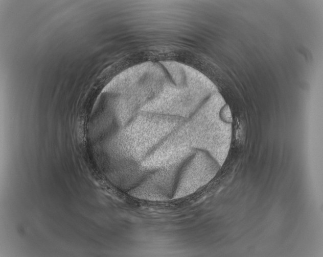 X0000113000819200909241259