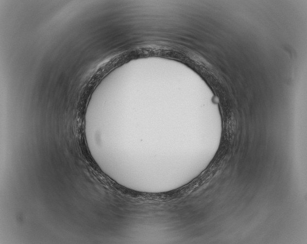 X0000113000822200909241259