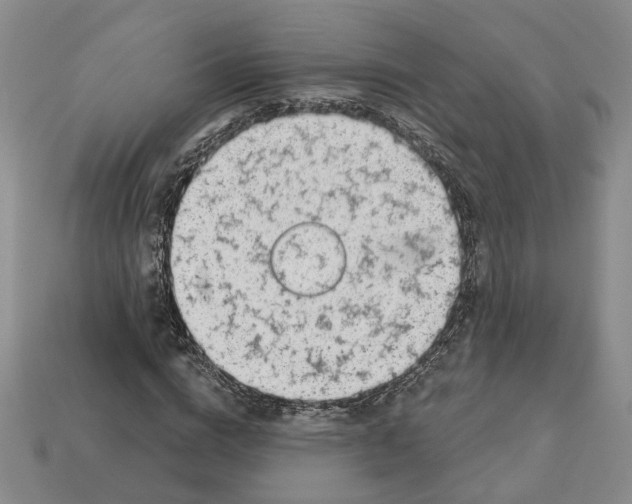 X0000113000824200909241259