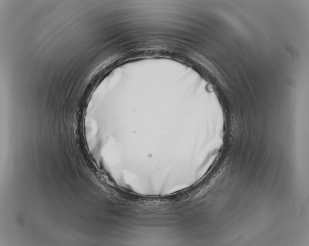 X0000113000826200909241259