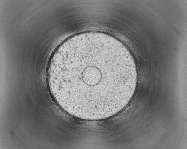 X0000113000828200909241259