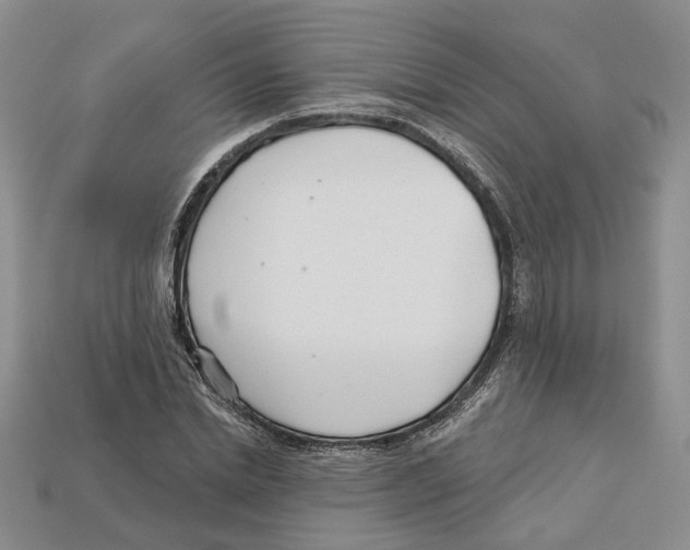 X0000113000830200909241259