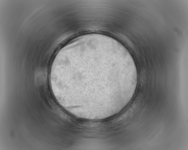 X0000113000831200909241259