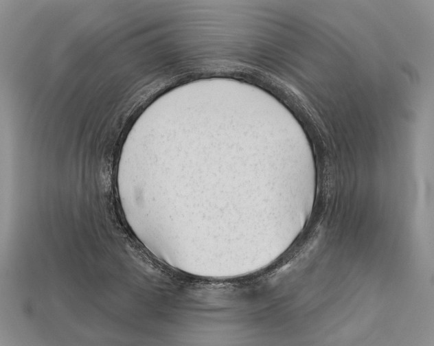 X0000113000833200909241259