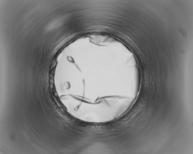 X0000113000834200909241300