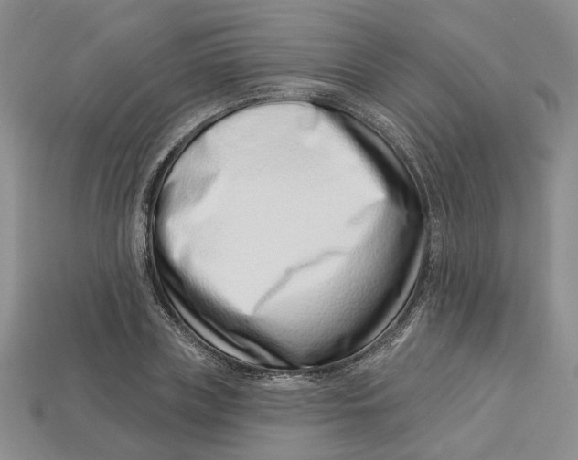 X0000113000835200909241300