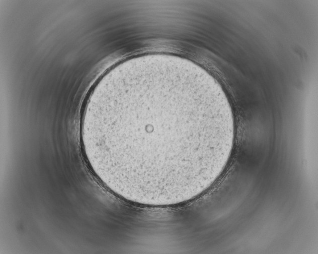 X0000113000836200909241300