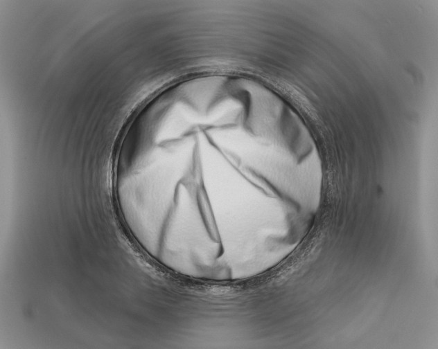 X0000113000839200909241300