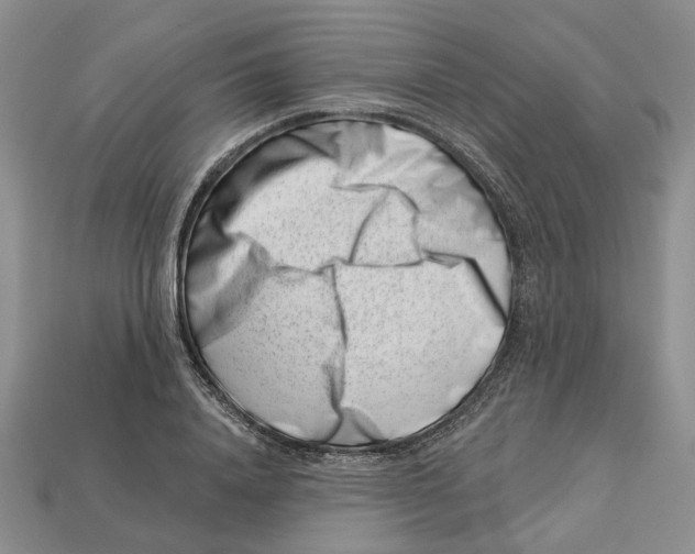 X0000113000840200909241300