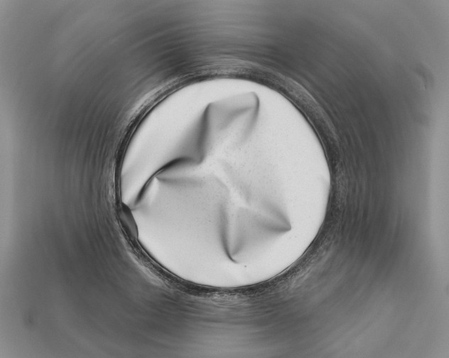 X0000113000842200909241300