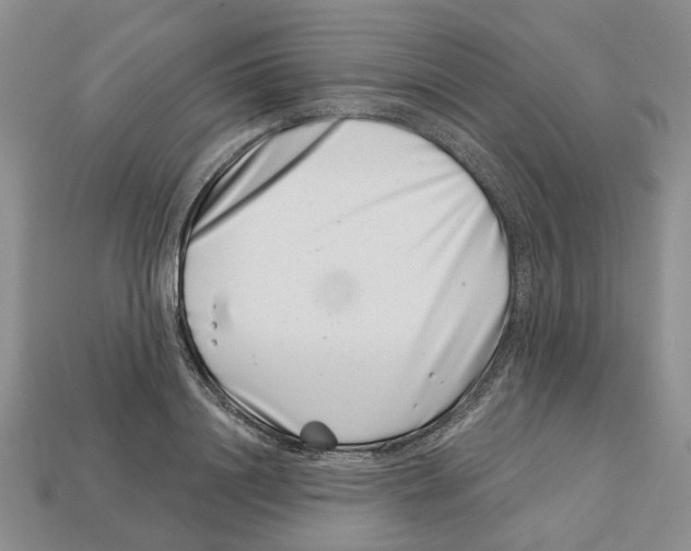 X0000113000844200909241300