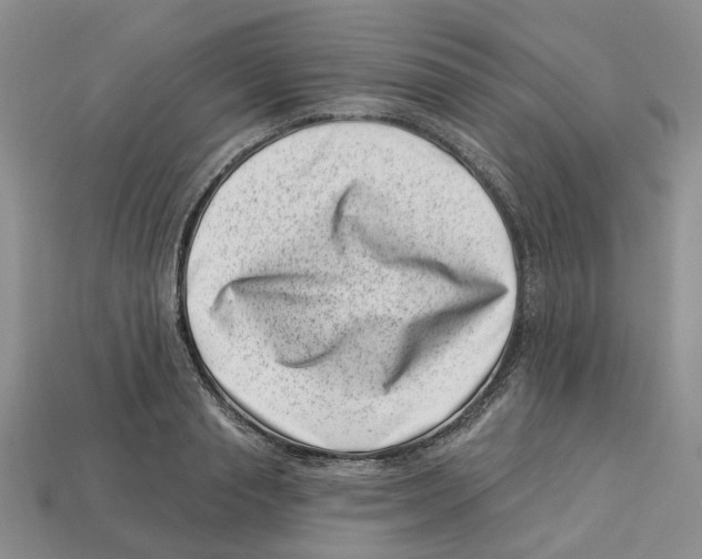 X0000113000845200909241300