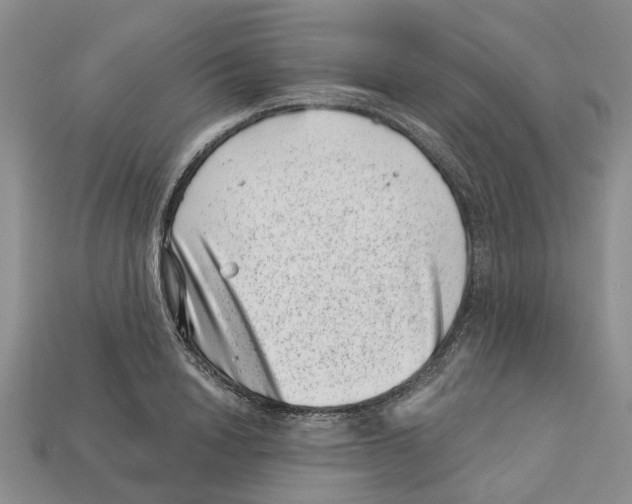 X0000113000846200909241300