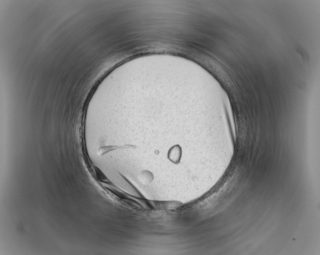 X0000113000847200909241300