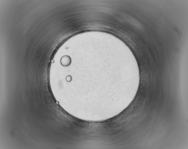 X0000113000848200909241300