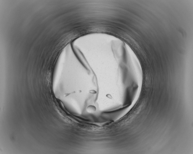 X0000113000849200909241300