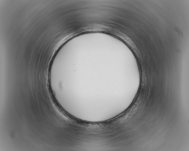 X0000113000850200909241300