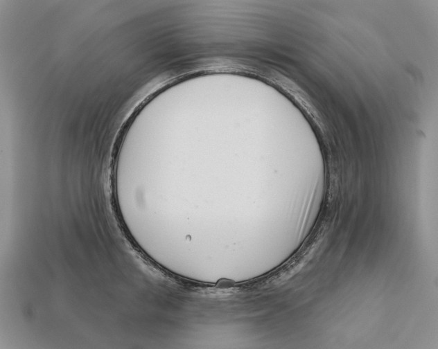 X0000113000853200909241300