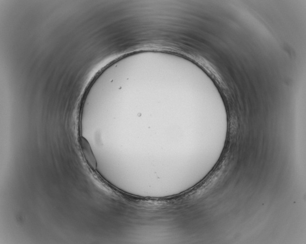 X0000113000854200909241300