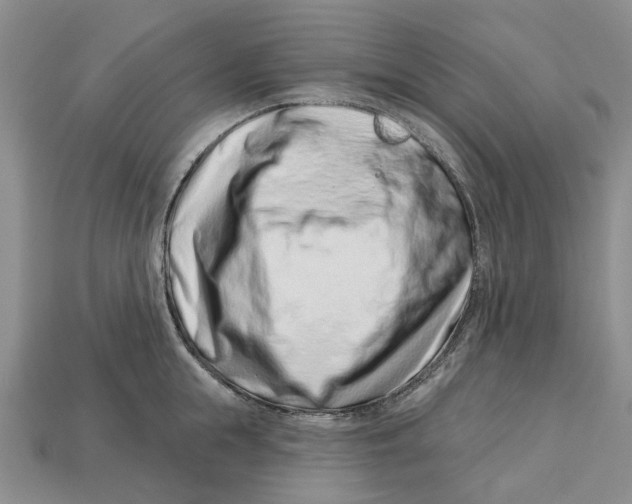 X0000113000855200909241300