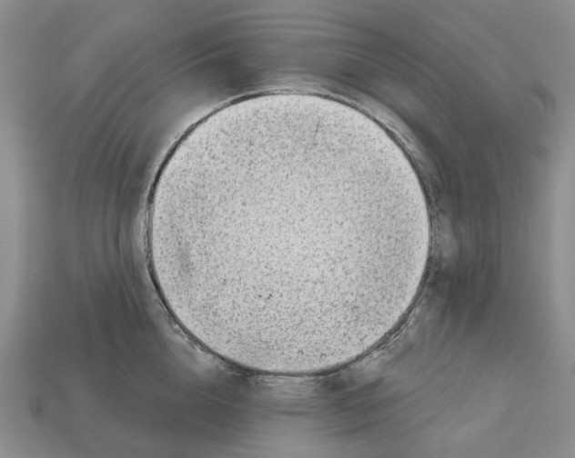 X0000113000856200909241300