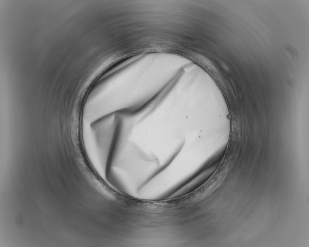 X0000113000859200909241300