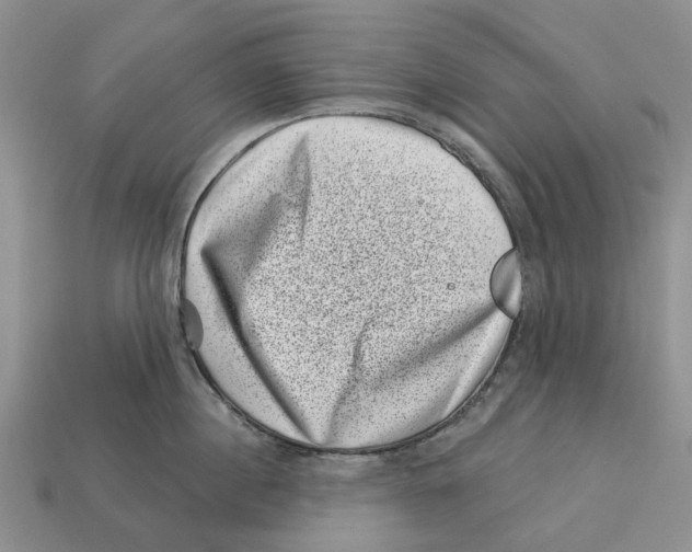 X0000113000860200909241300