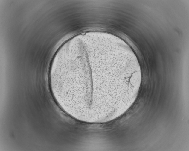 X0000113000861200909241300