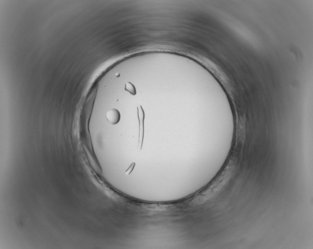 X0000113000862200909241300