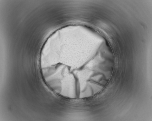 X0000113000863200909241300