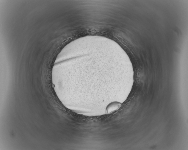 X0000113000865200909241259