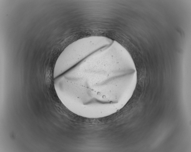 X0000113000866200909241259