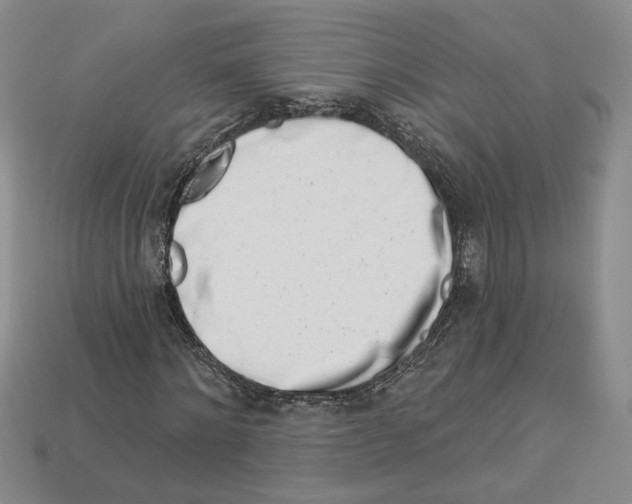 X0000113000868200909241259