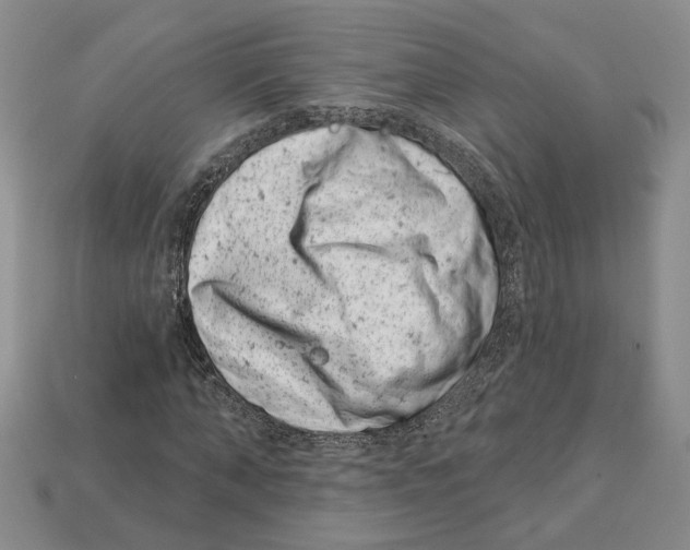 X0000113000870200909241259