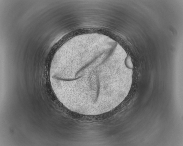 X0000113000871200909241259