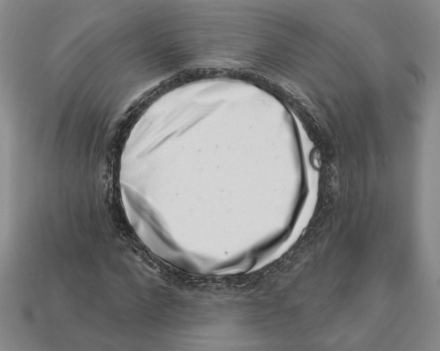 X0000113000872200909241259