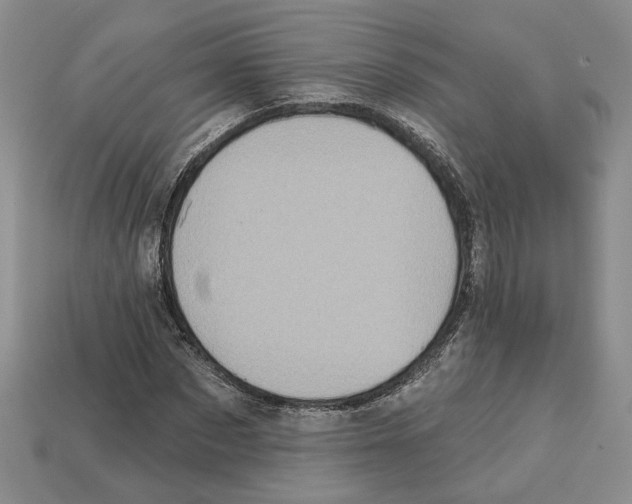 X0000113000873200909241259