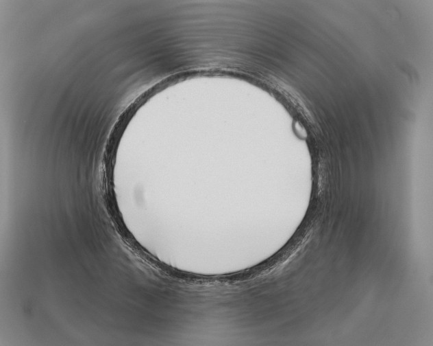 X0000113000876200909241259