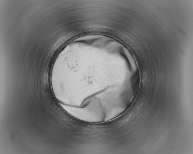 X0000113000877200909241259