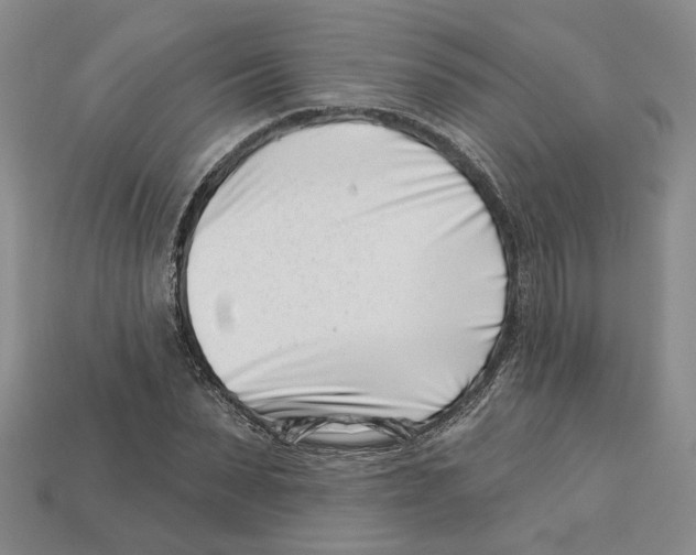 X0000113000879200909241259