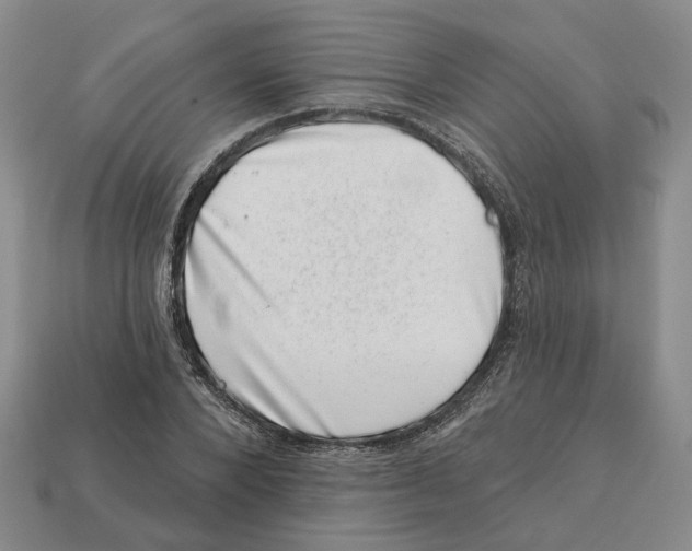 X0000113000880200909241259