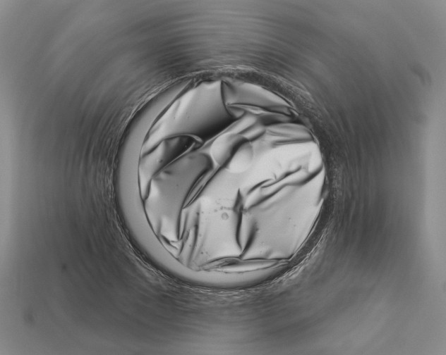 X0000113000881200909241259