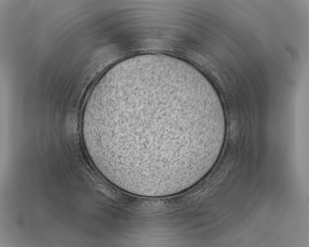 X0000113000882200909241259