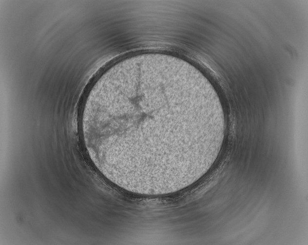 X0000113000883200909241259